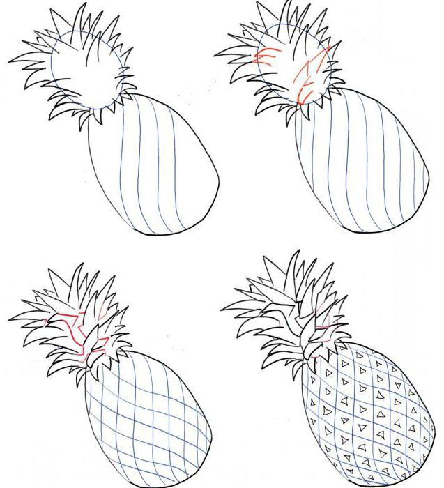Details zum Zeichnen von Ananas